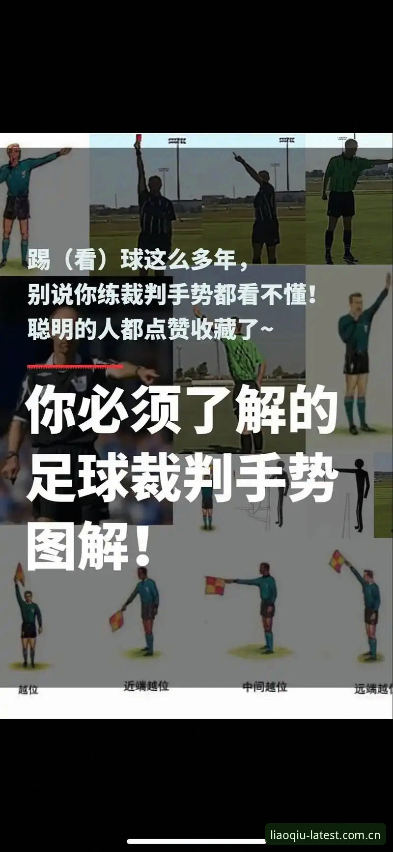 世界杯观赛受阻？从约旦球迷签证困境看全球足球赛事操作指南