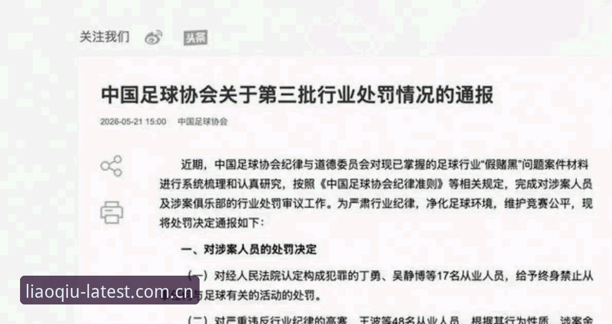 足协第三批禁足名单：终身禁赛vs5年禁赛，中国足球反腐风暴深度解析