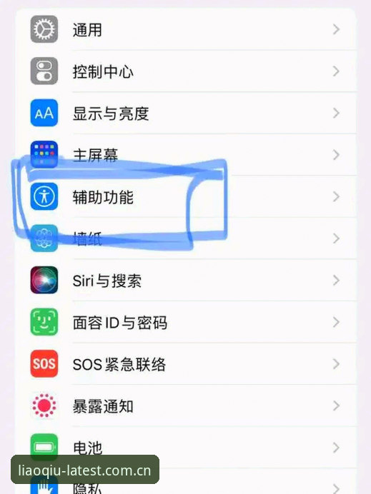 手机看球App手机版安装与使用教程：从入门到精通